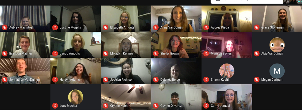 Google meet screenshot