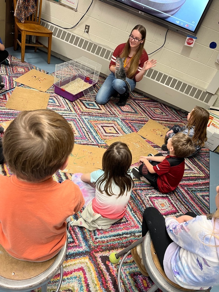 Live Feed Pentwater Public Schools