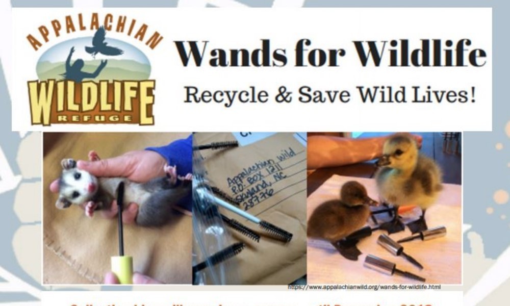 Wands for Wildlife